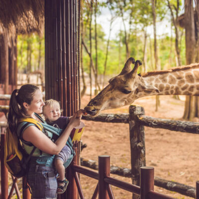 Planning a Day Out? Discover the Best Zoos in the North East UK