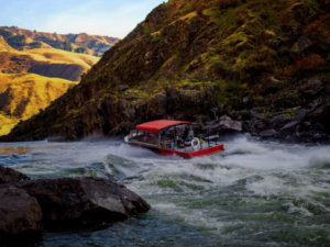 Hammer Down River Excursions explore guided river tours and fishing charters